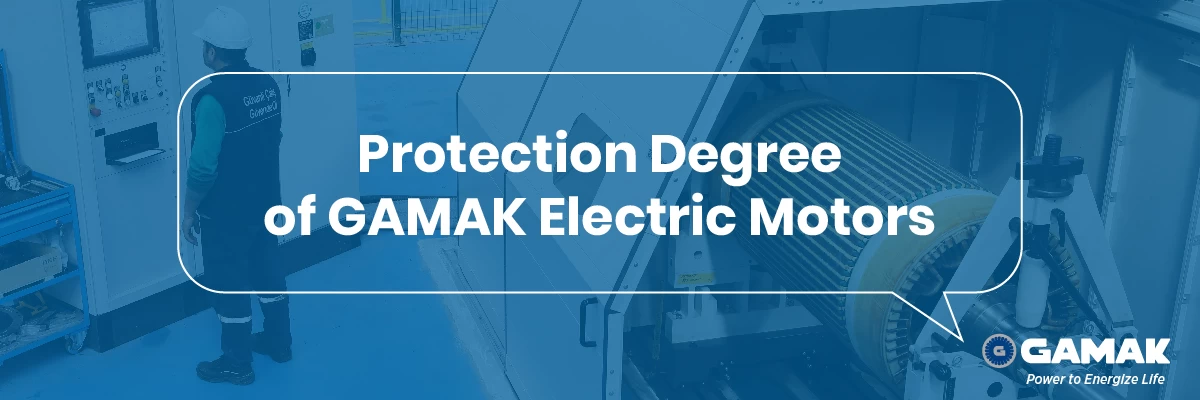 Protection of Electric Motors