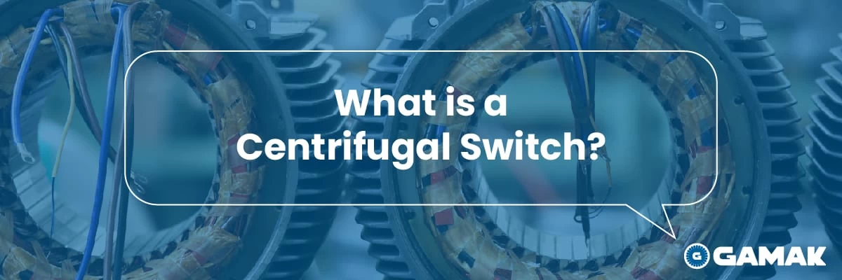 What is a Centrifugal Switch?